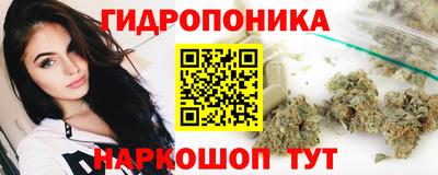 ГАЛЛЮЦИНОГЕННЫЕ ГРИБЫ Обь