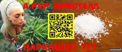 СК Пенза